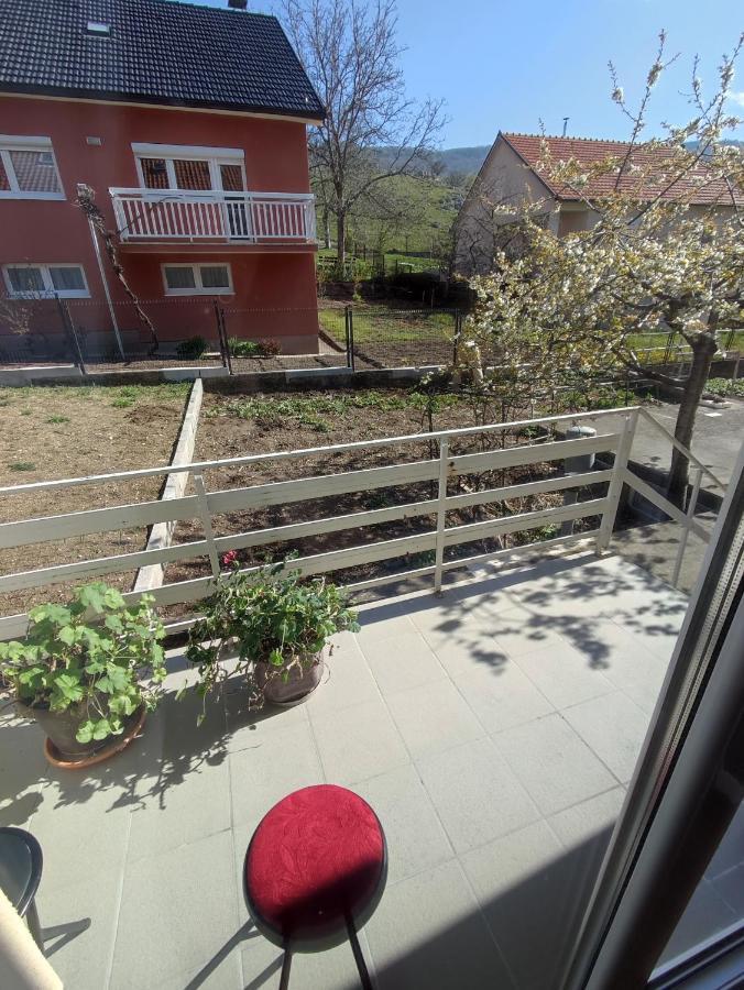 Apartman Bor 利夫诺 外观 照片